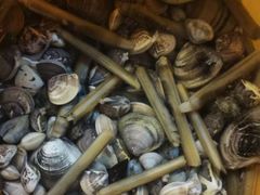 -北海金海湾红树林生态旅游区