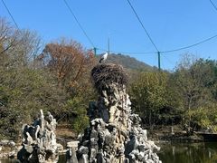 -合肥野生动物园