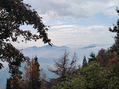 -莫干山风景区