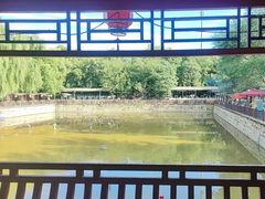 -尚庄度假村·庭台树下·户外烧烤·团建CS·轰趴营地(上庄水库店)