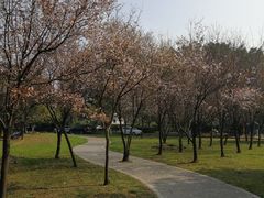-四川大学(望江校区)