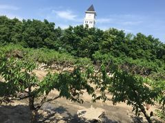 iphone_upload_pic-阿林有机农庄