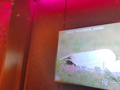 -佰迪乐KTV(阳桥店)