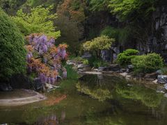 -上海吴淞炮台湾国家湿地公园