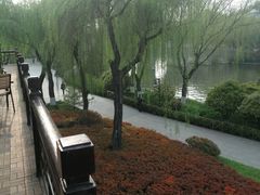 -鹊华居·地道鲁菜·海鲜·融合味(大明湖店)