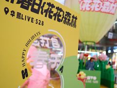 -华熙LIVE·528