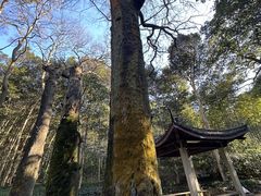 -西湖风景区十里琅珰-五云山
