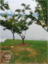 -玄武湖景区-情侣园游乐场