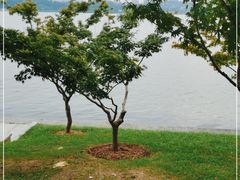 -玄武湖景区-情侣园游乐场