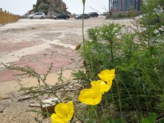 -白草畔自然风景区