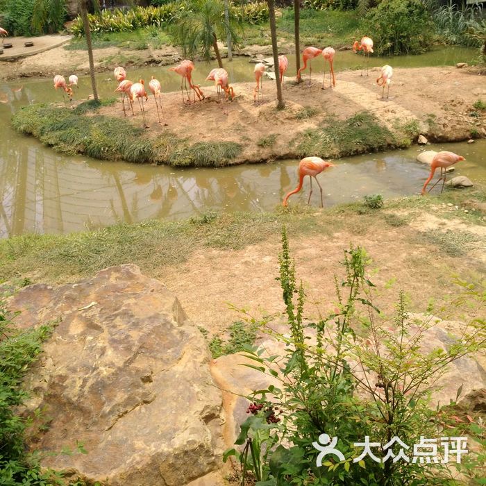 無錫動物園·太湖歡樂園圖片-北京動物園-大眾點評網