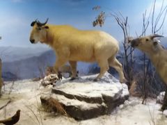 -陕西自然博物馆