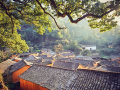 -杨家堂村