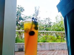 -煲宫猪肚鸡(晶品店)