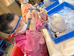 -卡通尼·Safari非洲探索乐园·生日会(金桥国际商业广场店)