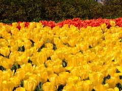 -玄武湖景区-情侣园游乐场