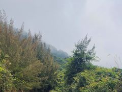 -海南铜鼓岭景区