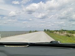 -白渔泡湿地公园