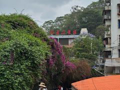 -白云山风景名胜区