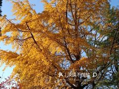 -大连人民广场
