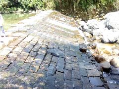 -祁门牯牛降观音堂风景区