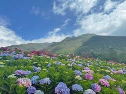 -太古映画婚纱摄影(天河店)