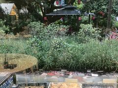 -金河半岛园林酒家(金融城店)