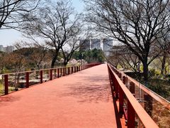 -青枫公园