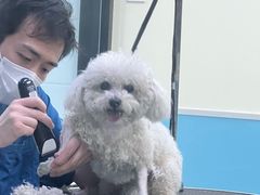 -天宠宠物医院24小时·急重症诊疗中心·全科·腔镜特色(和平分院)