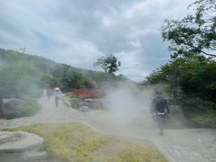 -黄贤森林公园
