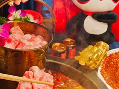 -蜀大侠火锅(总府路店)