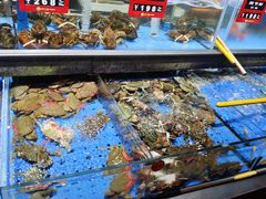 -炊江南·上海菜(国展华漕店)