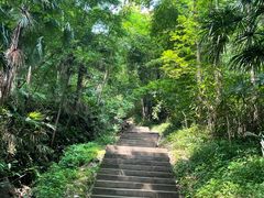 -凤栖山