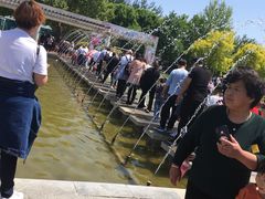 -石家庄市植物园