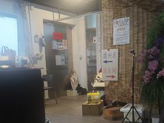 -星多哈·狗咖·拼豆·咖啡