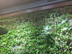 -HOME餐厅粤菜 融合菜