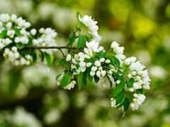 -海棠花溪(元大都城垣遗址公园)