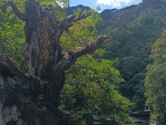-龙湾潭国家森林公园