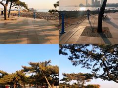 -栈桥景区