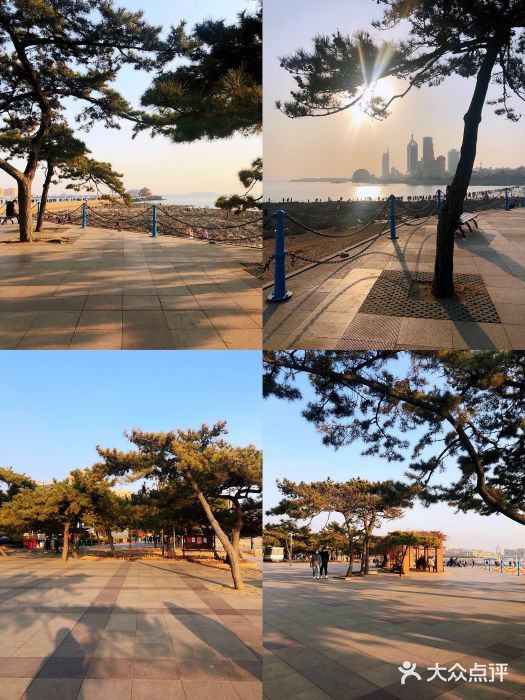 栈桥景区图片