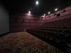 -悦江新远影城IMAX