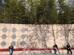 -上海市实验学校