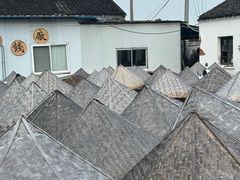 -苏州市吴中区光福窑上花果蜜饯厂