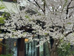 -广富林宰相府酒店·水云间