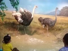 -吉林省自然博物馆