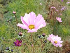 -长春公园(普阳街道)