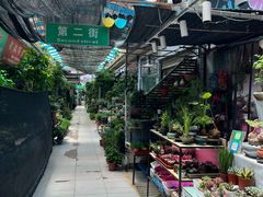 -武汉花鸟市场