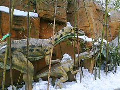 -西安秦岭野生动物园