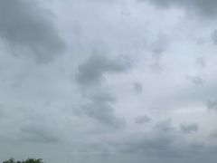 -合肥滨湖国家森林公园