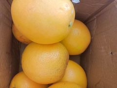 -南京环北服装批发市场